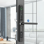 Cerradura Inteligente Bestlocks LDS Pro