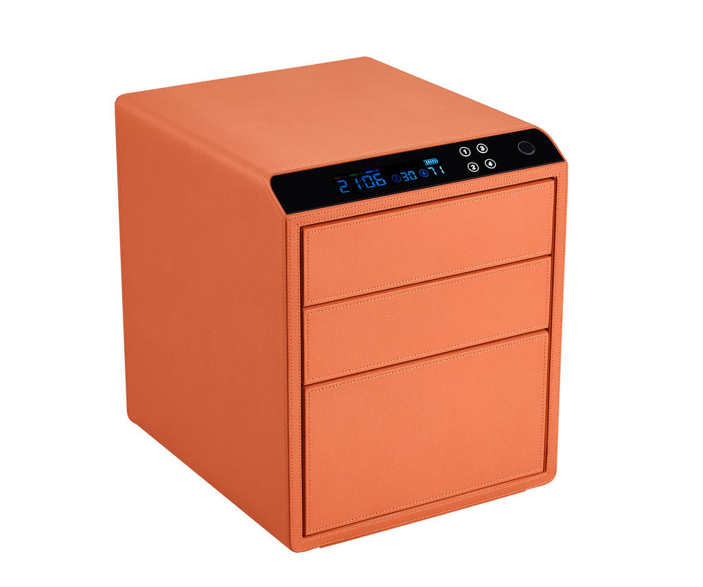 Caja de seguridad digital Lusano Zentura 3Y